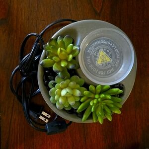 Scentsy Succulent Warmer